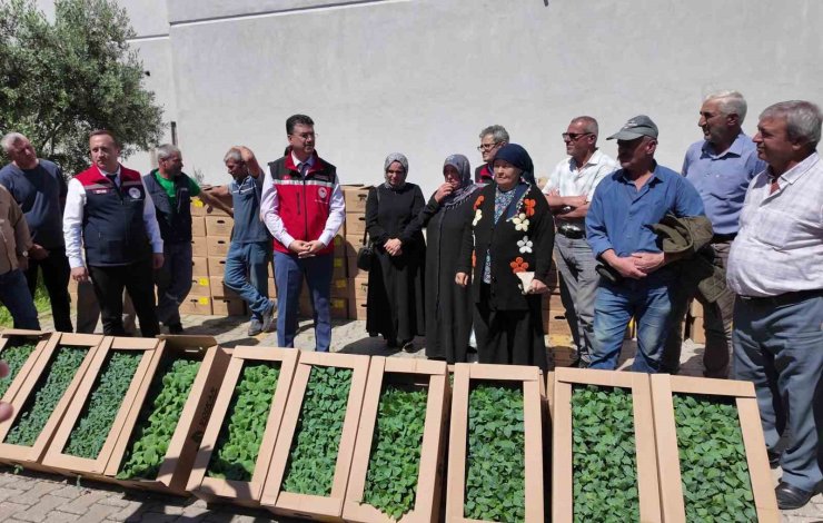 Tekirdağ’da 407 üreticiye 256 bin yazlık sebze fidesi dağıtıldı