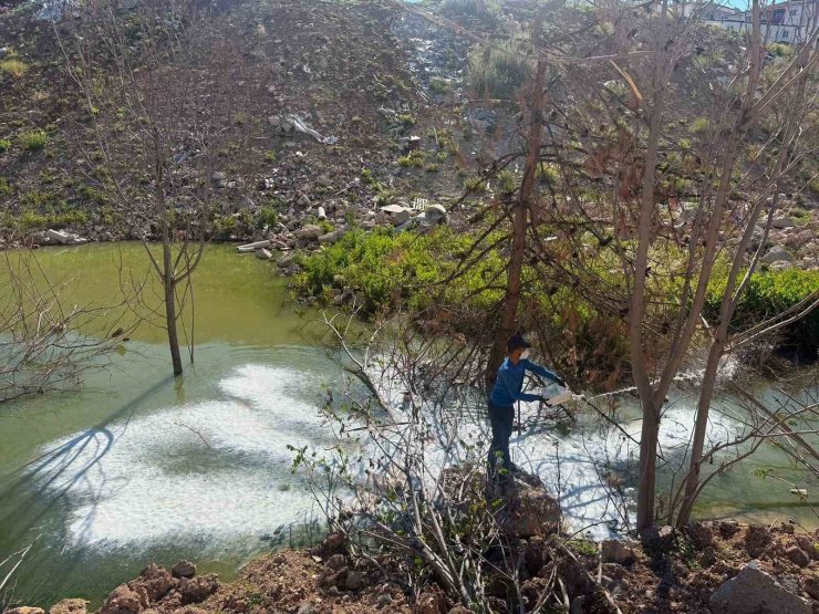 Adıyaman’da sivrisinek ve haşerelere karşı ilaçlama çalışması
