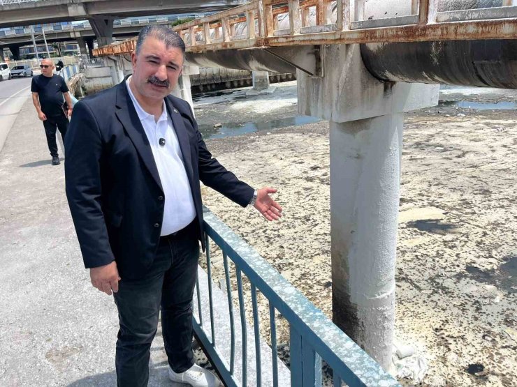 İzmir’de koku isyanı, Başdaş: "5 dakikadır maskesiz duramıyoruz"