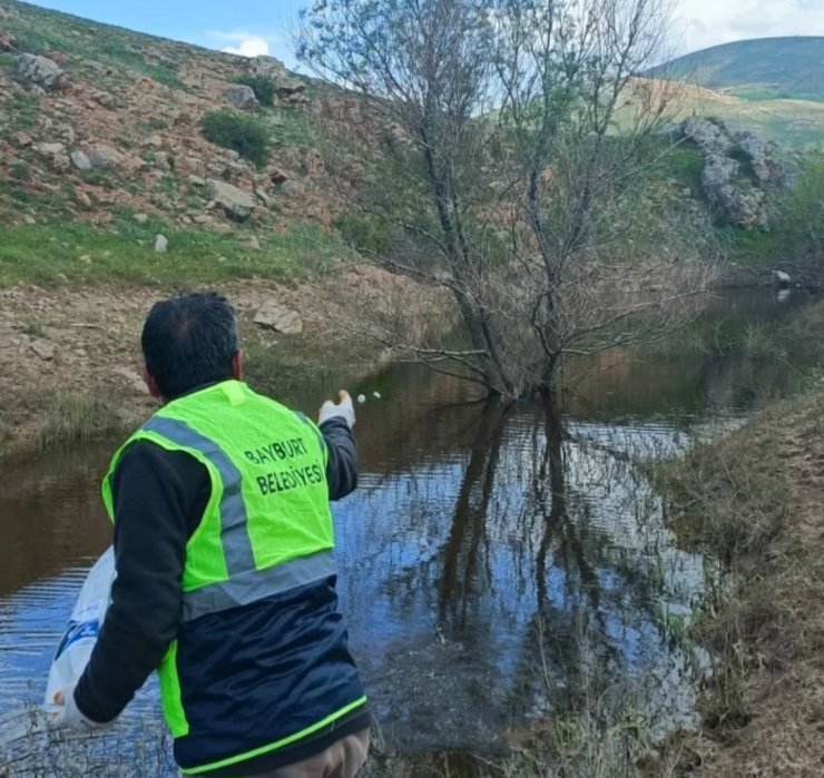 Bayburt’ta larva ilaçlaması ve temizlik çalışmaları sürüyor