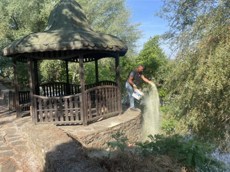 Mesire alanında haşere ve yılanlara karşı kükürt mesaisi