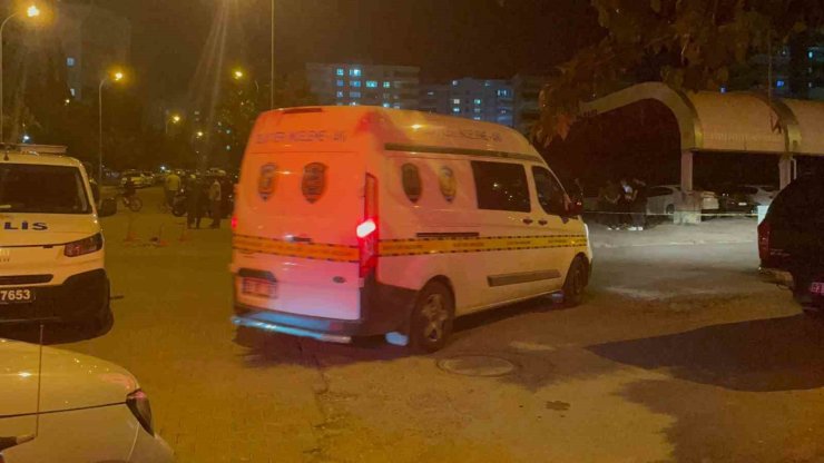 Şanlıurfa’da silahlı kavga: Anne öldü, oğlu yaralandı