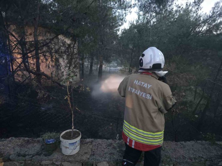 Hassa’da çamlık alan yangını