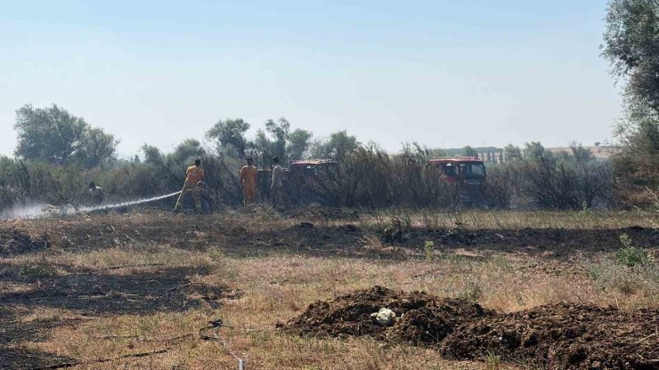 Balıkesir’de iki ayrı ilçede çıkan arazi yangınları kontrol altına alındı