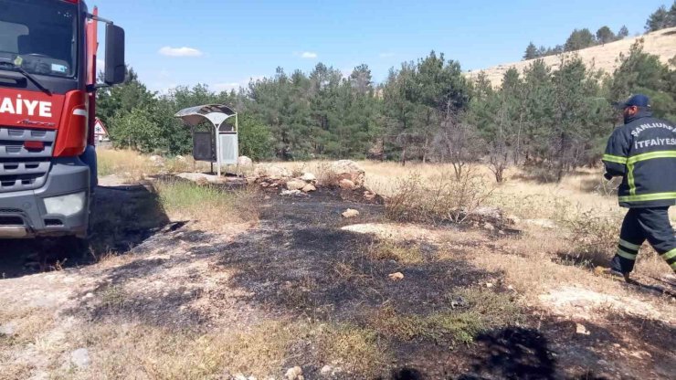 Ormanlık alandaki yangın söndürüldü