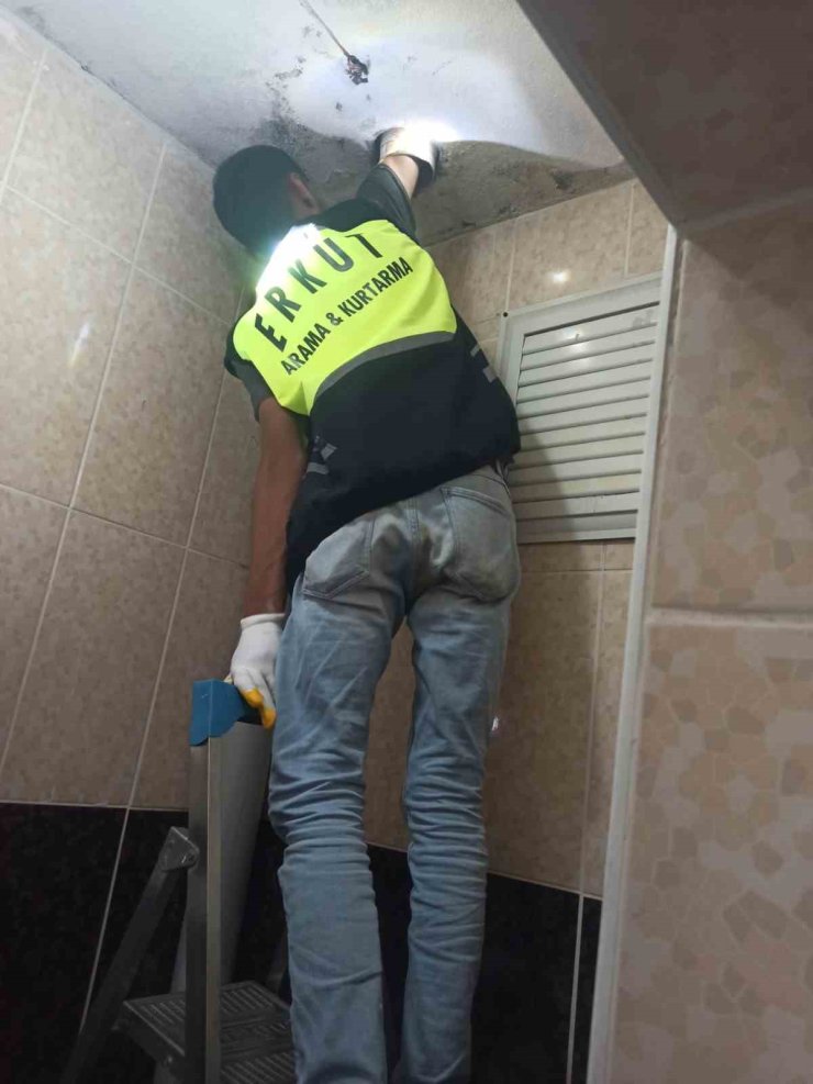 Siirt’te lavabo borusuna sıkışan yavru kedi kurtarıldı