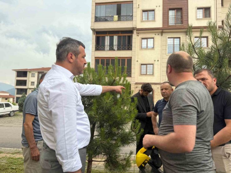 Başkan Çetinkaya’dan Belen TOKİ’ye tema park müjdesi
