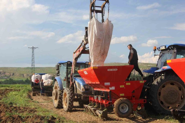 Sivas’ta patates ekim sezonu başladI, hedef 75 bin ton