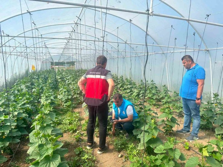 Tavşanlı cezaevi serasında üretim faaliyetleri incelendi