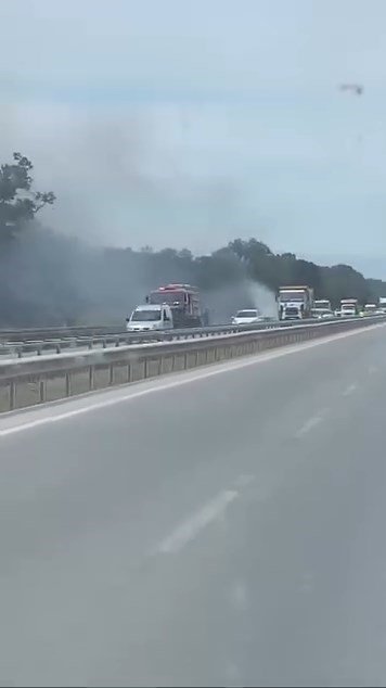 İzmir-Bursa kara yolunda alevler korkuttu