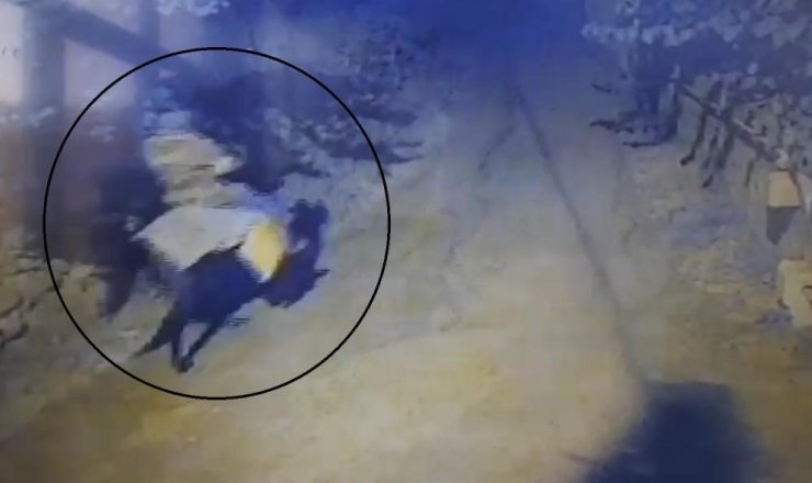 Yaşlı çifti öldürdükten sonra atla kaçan sanığa iki kere ağırlaştırılmış müebbet