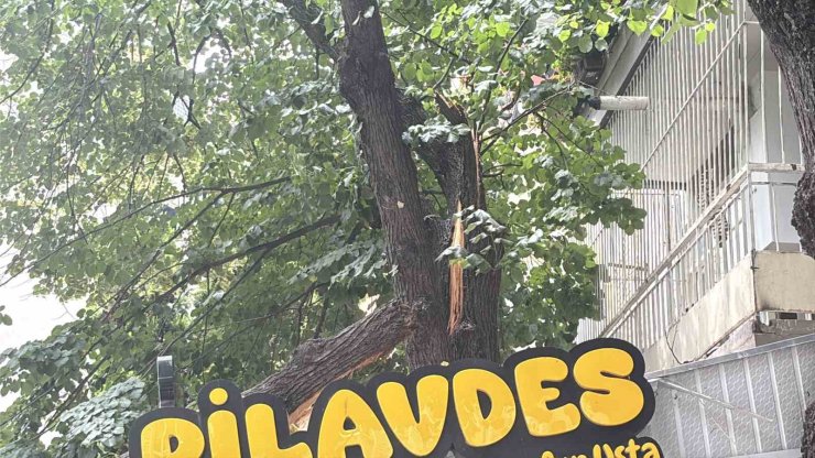 İzmit’te lokantanın üzerine devrilen ağaç dalları çatıda hasara yol açtı