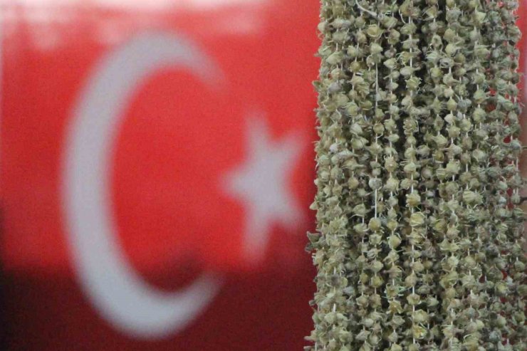 Amasyalı bamyacılar Uganda bamyasını ombudsmana şikayet etti