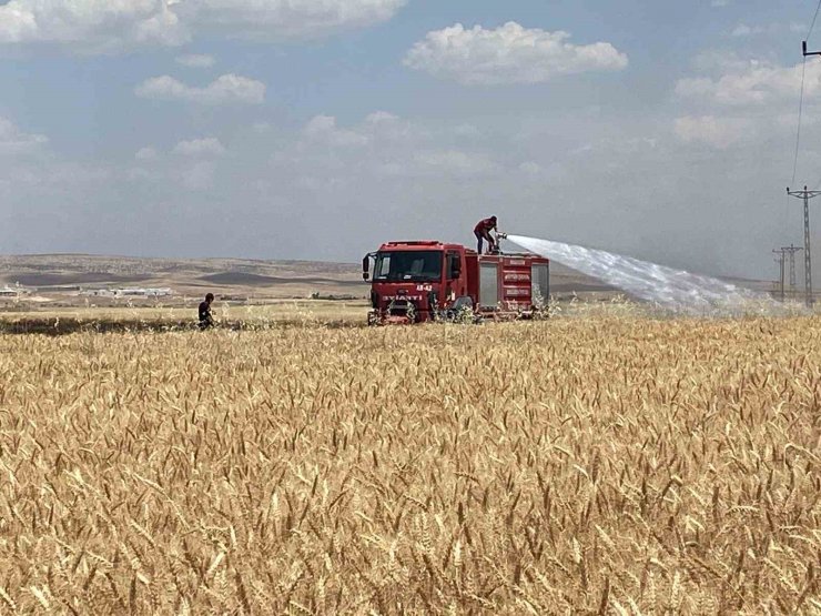 Mardin’de yaklaşık 300 dönüm ekili alan alevlere teslim oldu