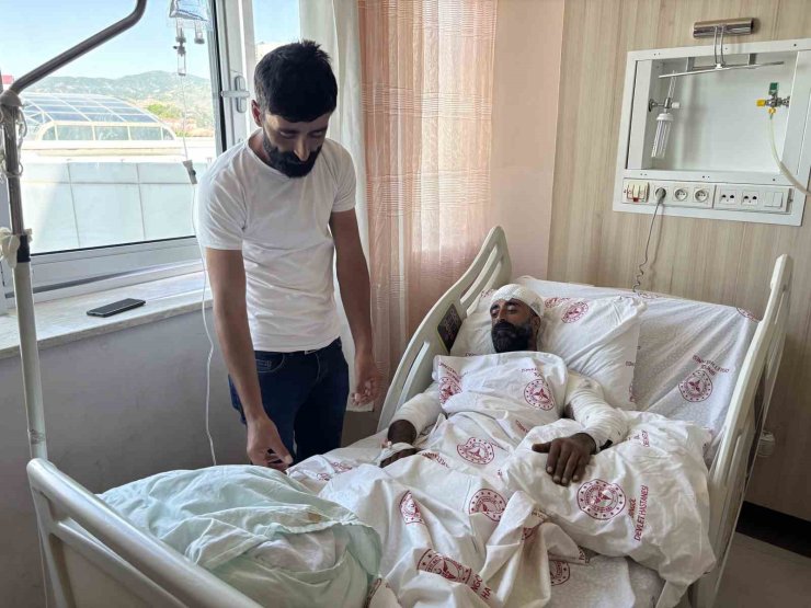 Mantar toplarken ayı saldırısına uğradı, kollarıyla başını siper ederek hayatta kaldı