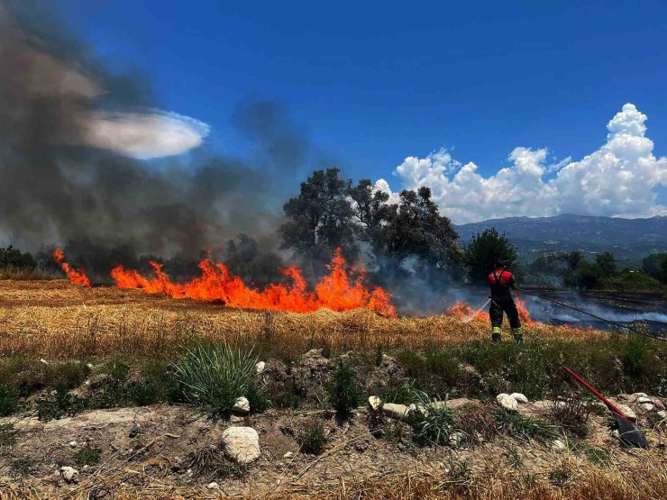 Limon bahçesindeki ot yangını