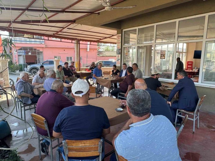 AK Parti İl Başkanı Subaşıoğlu, Sarayköy’de buğday hasadı yaptı