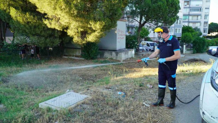 Balıkesir’de vektörle mücadelede tam zamanlı mesai