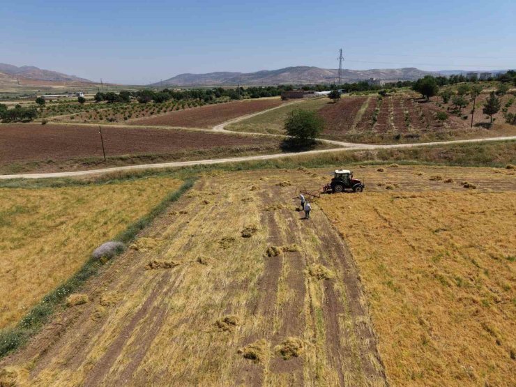 Gercüş’te bereketli hasat: Mercimek rekoltesi çiftçinin yüzünü güldürdü
