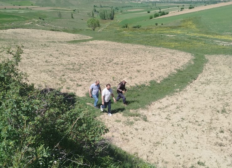 Bayburt’ta hazine taşınmazları için arazi çalışması yapıldı