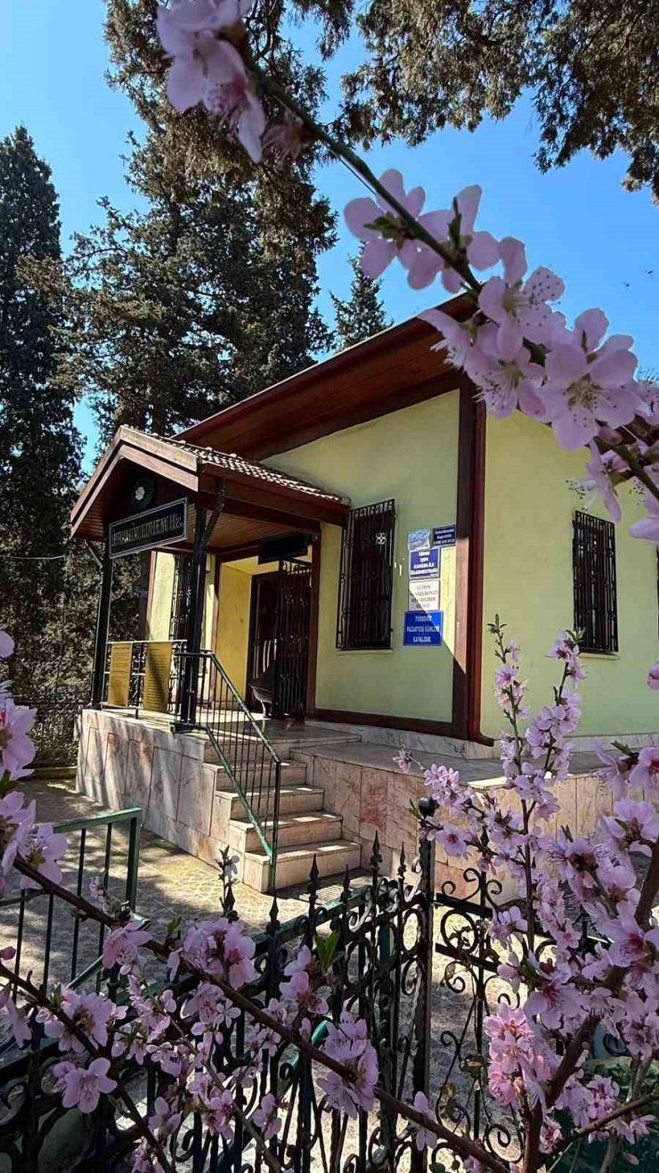 Tarihi hazirede Osmanlı kabirlerine yönelik çalışma tamamlandı