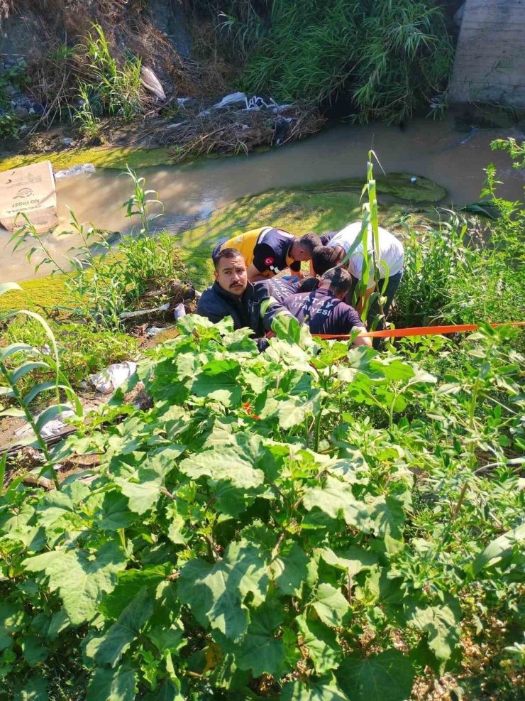 Antakya’da dereye uçan motosikletin sürücüsü yaralandı