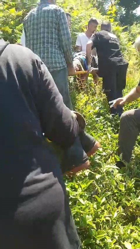 Kiraz toplamak için çıktığı ağaçtan düştü