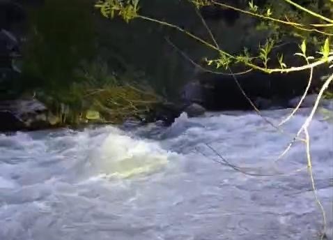 Nehirde kaybolan şahıs için arama çalışması başlatıldı