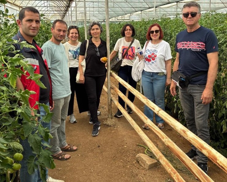 Simav’daki seracılara domates hastalıkları ve zararlıları eğitimi