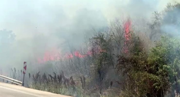 Otluk alanda çıkan yangın korkuttu