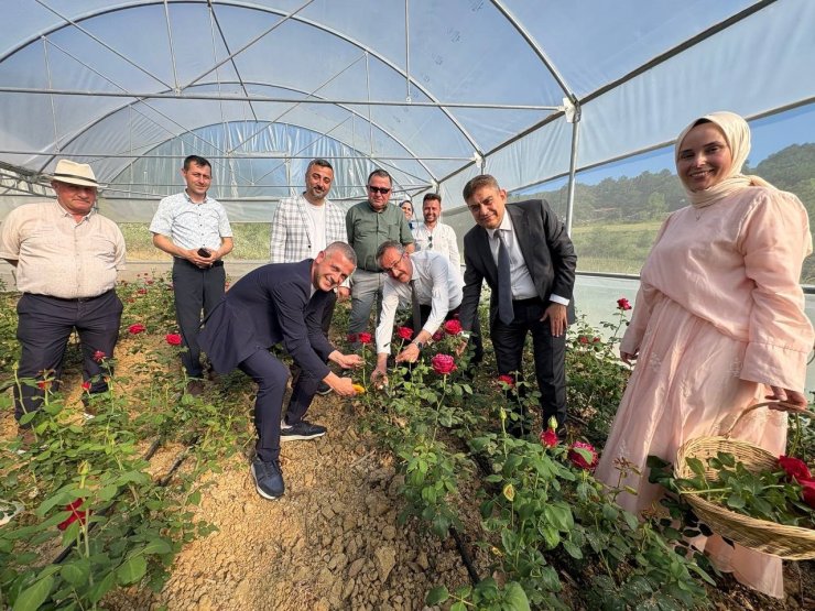 Kadın girişimci hibe desteğiyle Kocaeli’nin ilk gül serasını kurdu