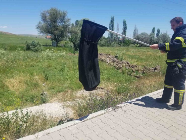 Eve giren yılanı itfaiye yakaladı
