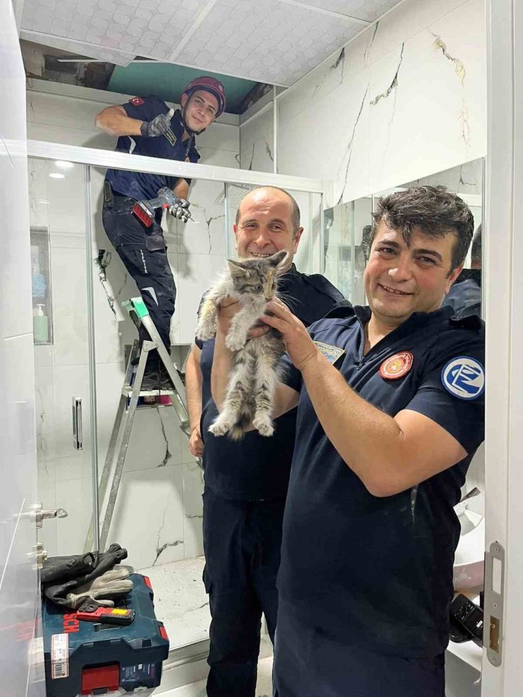 Havalandırma boşluğunda mahsur kalan kediyi itfaiye kurtarıldı