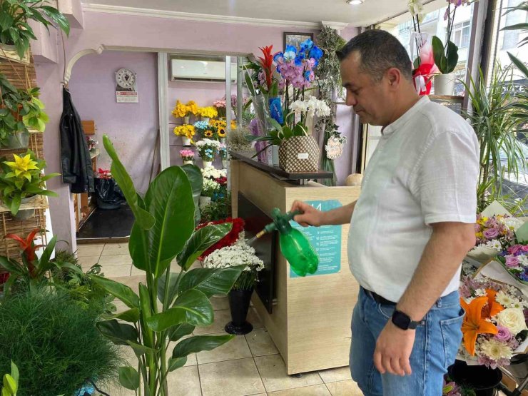 Yaz aylarında çiçek bakımında bunlara dikkat
