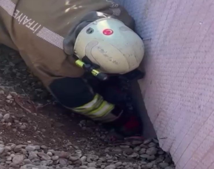 Moloz yığını altında kalan yavru kedi kurtarıldı