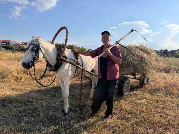 Atıyla doğaya çıkıp küçükbaş hayvanları için tırpanla ot biçiyor