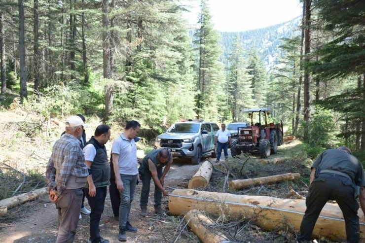 Kahramanmaraş’ta yangın riskine karşı yol kenarlarında temizlik ve bakım