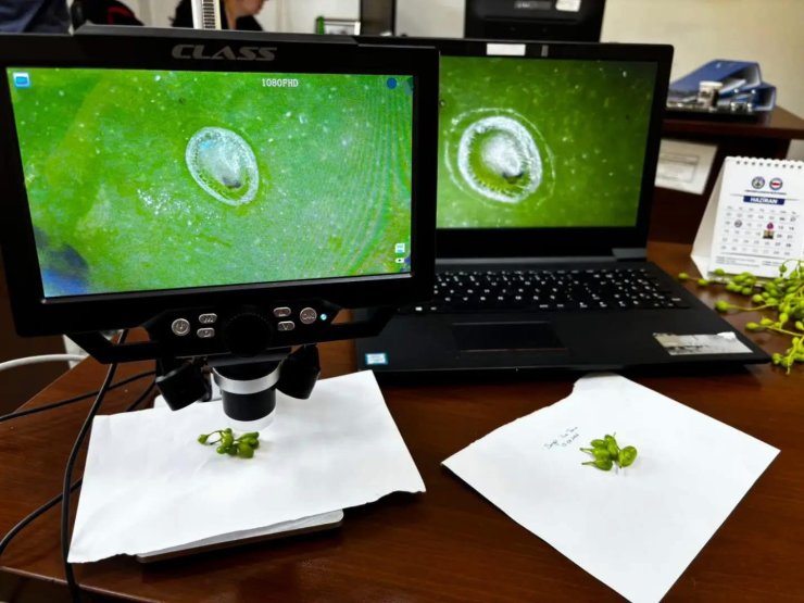 Manisa’da 102 istasyondan gelen verilerle üreticiye erken uyarı