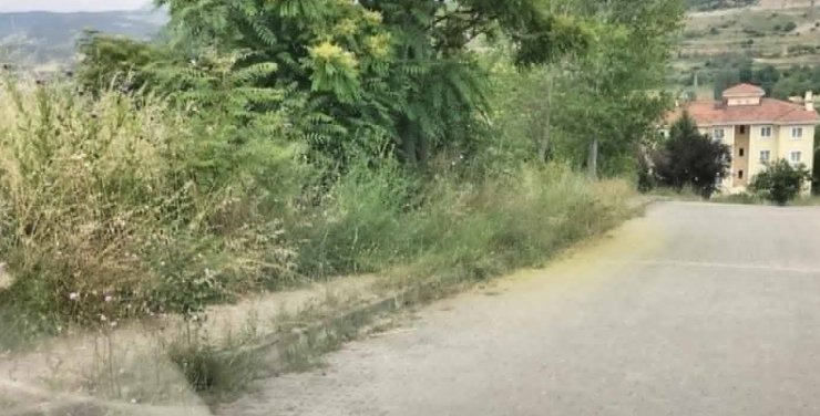 Kaldırımları otlar kaplayınca vatandaşların yılan korkusu başladı