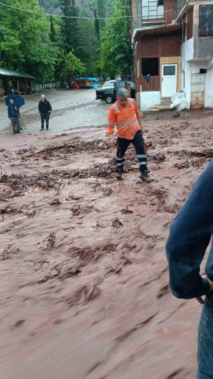 Artvin’de sağanak sonrası dereler taştı