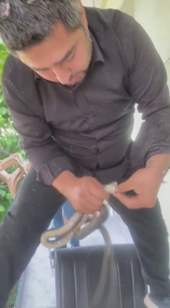 Klima ünitesinin boru hattında yakaladığı yılanı "Sevgili yılan insanlardan uzak dur, yoksa ne yaparlar biliyorsun" diyerek doğaya saldı