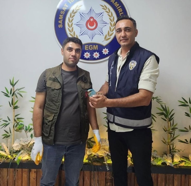 Polis ekiplerinin bulduğu yaralı gökkuzgun koruma altına alındı