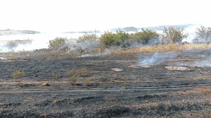 Antalya’da otluk alan yangını itfaiye ekiplerince söndürüldü