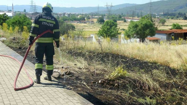 Menteşe’de yol kenarına atılan sigara izmariti yangın çıkardı