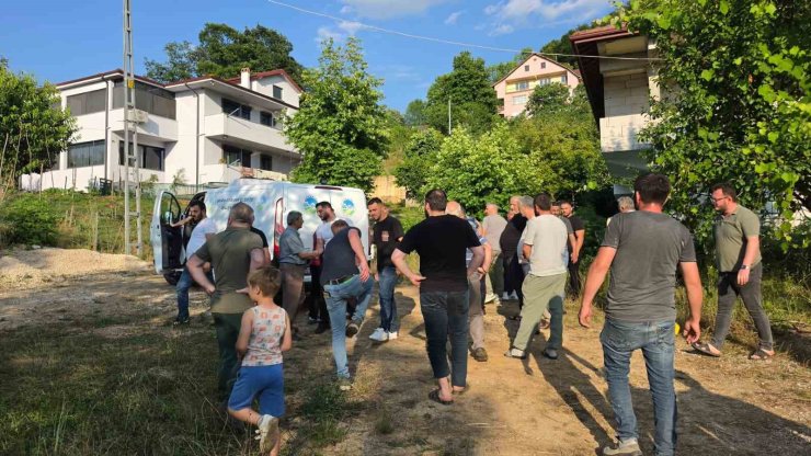 Ihlamur toplamak için çıktığı ağaçtan düşerek hayatını kaybetti
