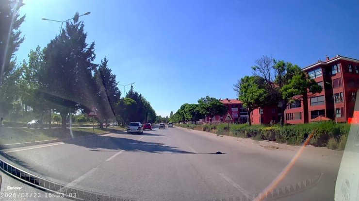 Kara yolunda mahsur kalan kaplumbağasına yardım eli