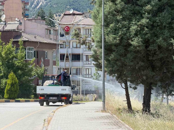 Karabük’te sinek ve haşereyle mücadele çalışmaları sürüyor