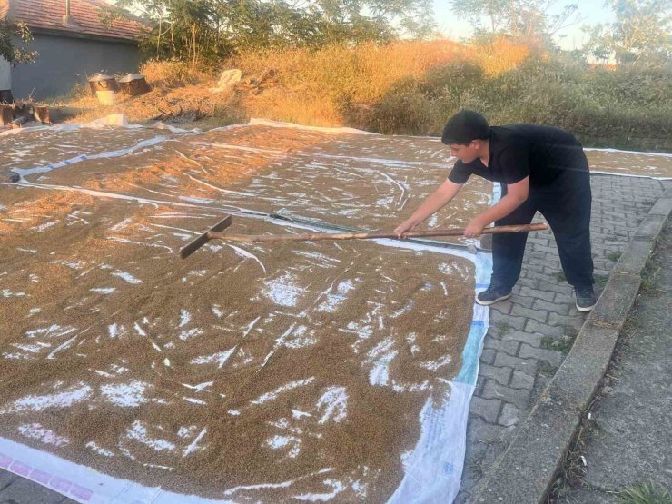 Çiçekdağı ilçesinde geleneksel bulgur yapımı başladı