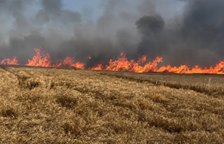 Tekirdağ’da 400 dönüm buğday ekili alan yandı