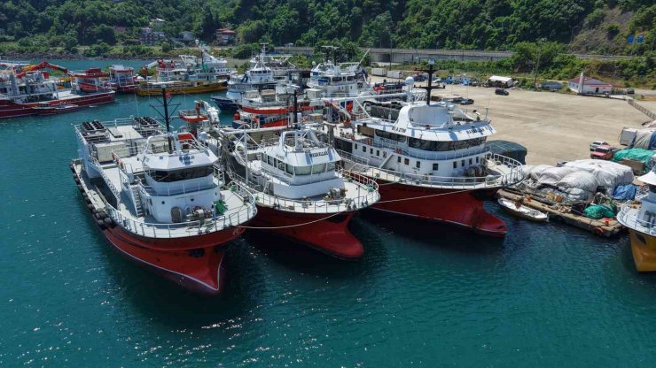 50 tonluk orkinos avı kotasını 42 günde doldurup Yoroz Limanı’na demirlediler